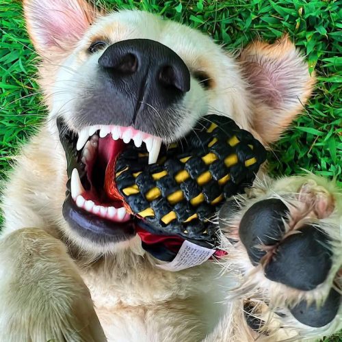 WhatsApp Image 2025-05-06 at 1.30.37 PM